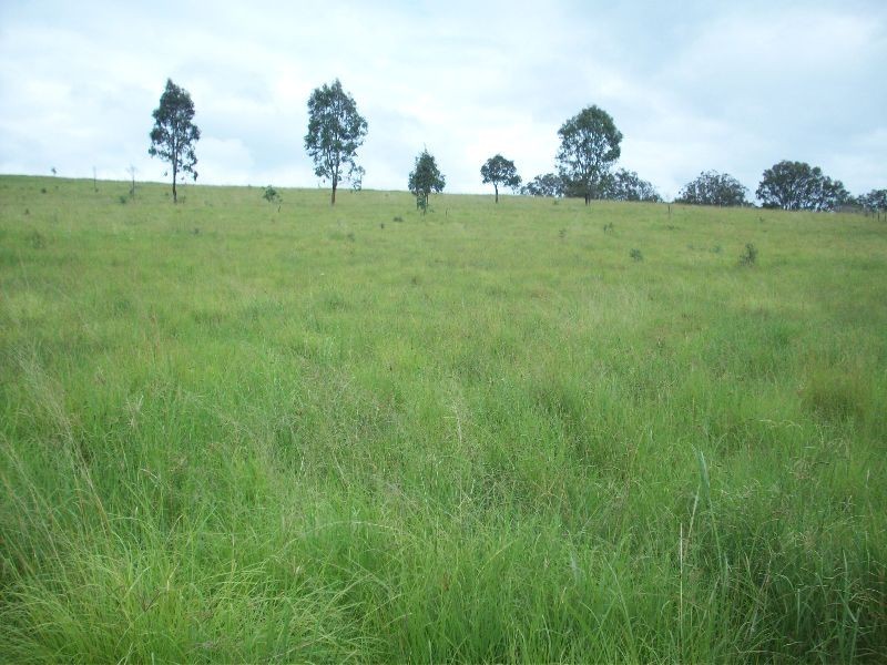 Glastonbury QLD 4570