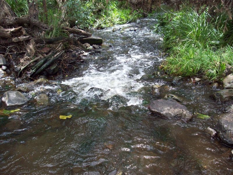 Glastonbury QLD 4570