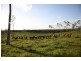 Monduran QLD 4671