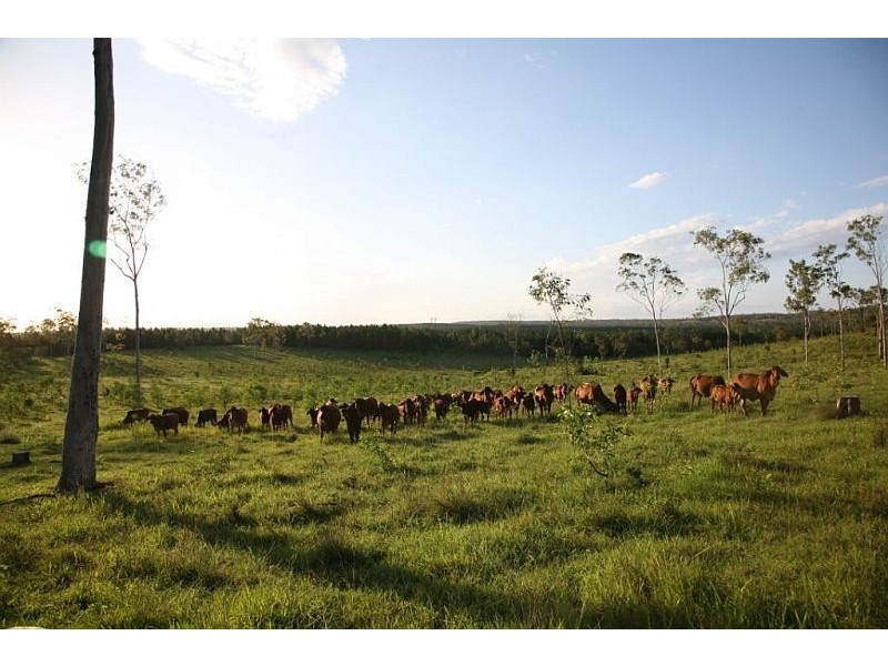 Monduran QLD 4671