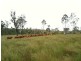 Monduran QLD 4671