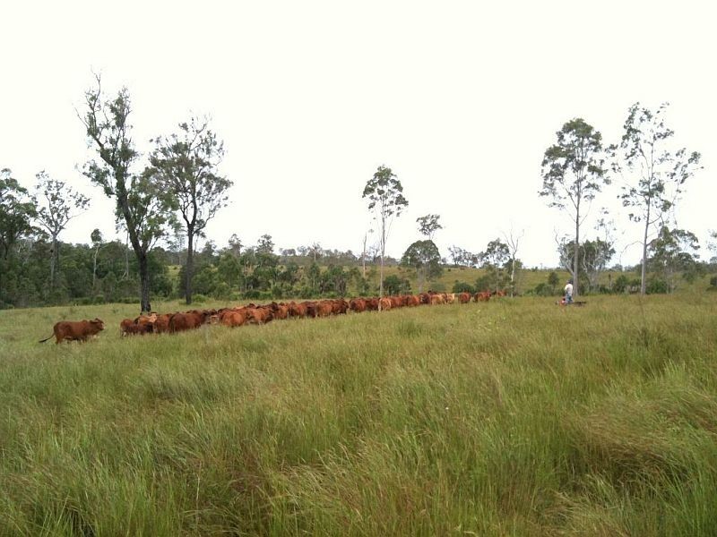 Monduran QLD 4671