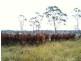 Monduran QLD 4671