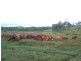 Monduran QLD 4671
