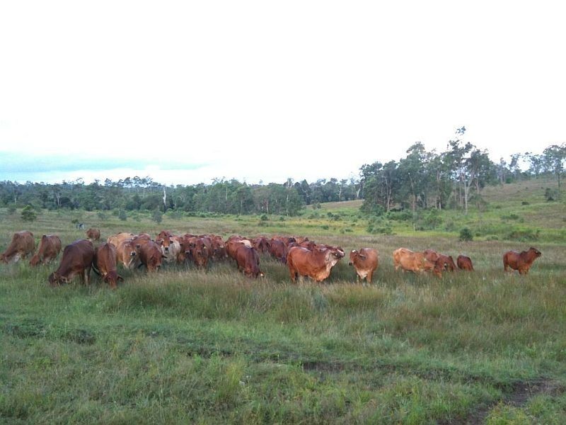 Monduran QLD 4671