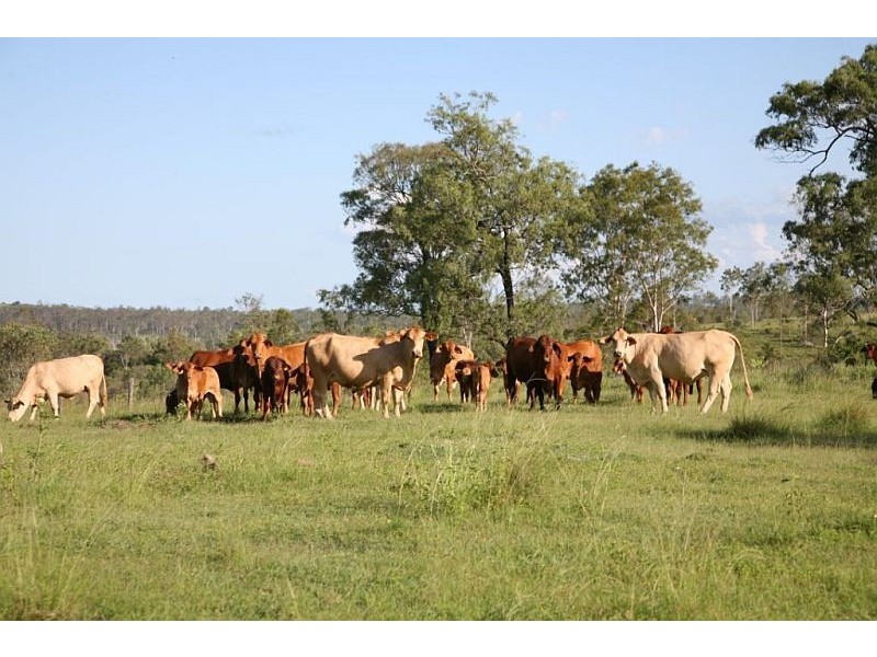 Monduran QLD 4671