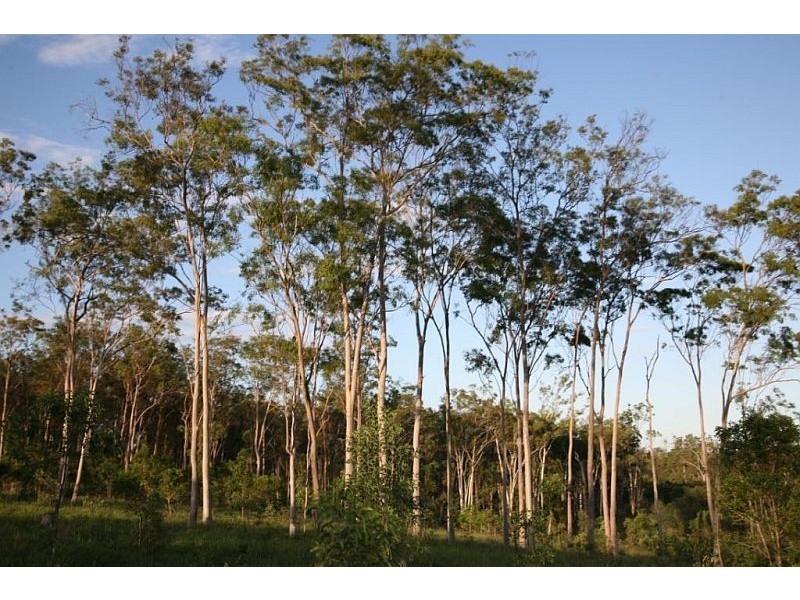 Monduran QLD 4671