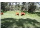 Glen Echo QLD 4570