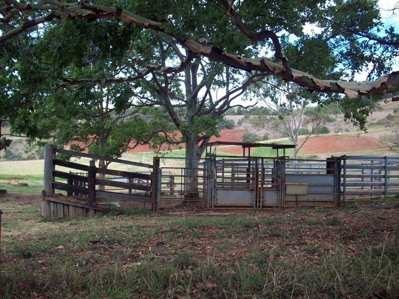 Calico Creek QLD 4570