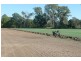 Glastonbury QLD 4570