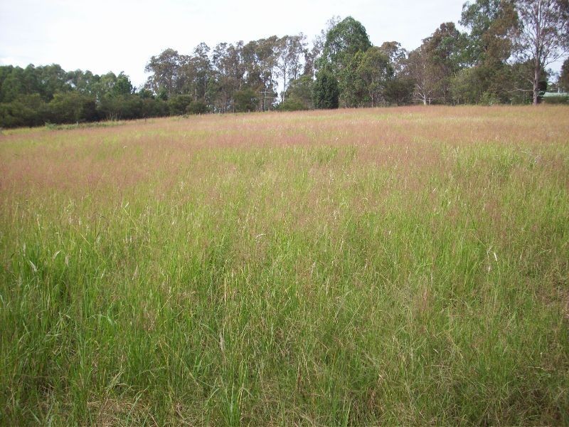 Veteran QLD 4570