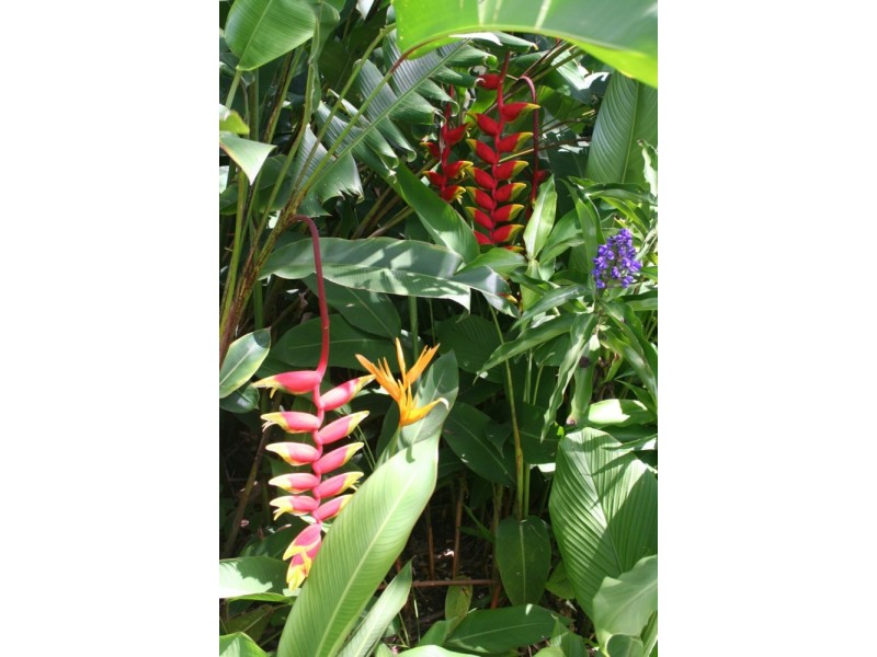 61 – 63 Main Street, Kin Kin QLD 4571