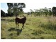 Theebine QLD 4570