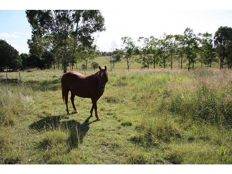 Theebine QLD 4570