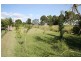 Theebine QLD 4570