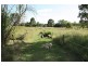 Theebine QLD 4570