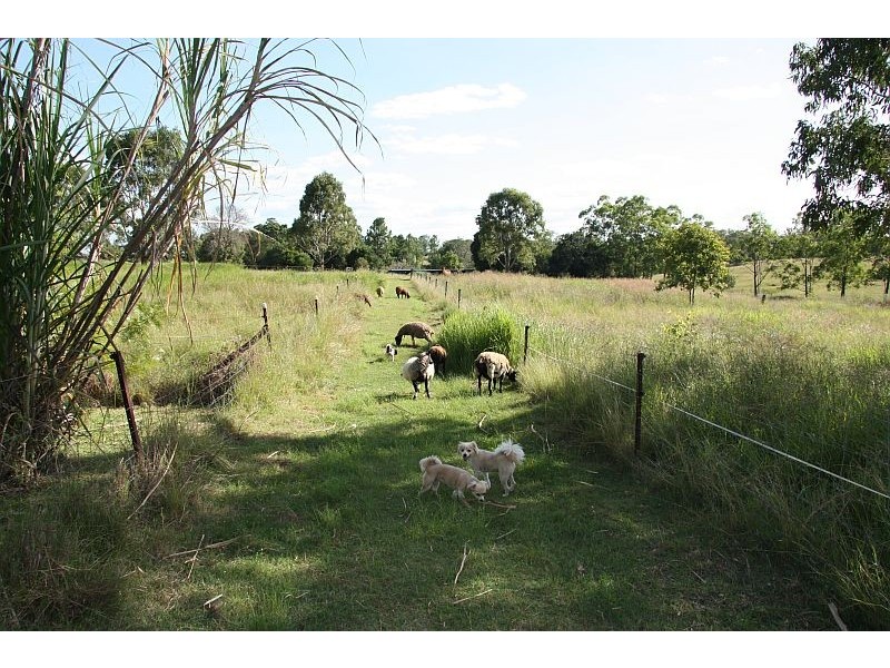 Theebine QLD 4570