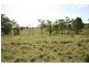 Theebine QLD 4570