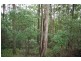 194 Goodyear Road, Cedar Pocket QLD 4570