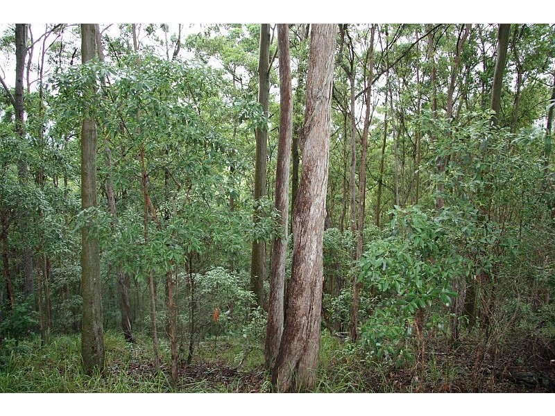 194 Goodyear Road, Cedar Pocket QLD 4570