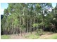 Cedar Pocket QLD 4570