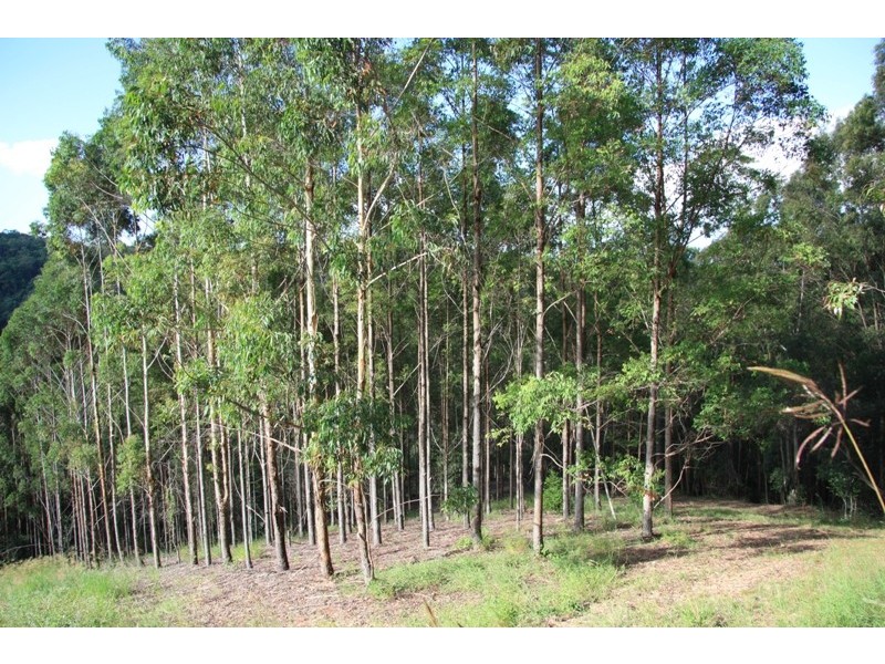 Cedar Pocket QLD 4570