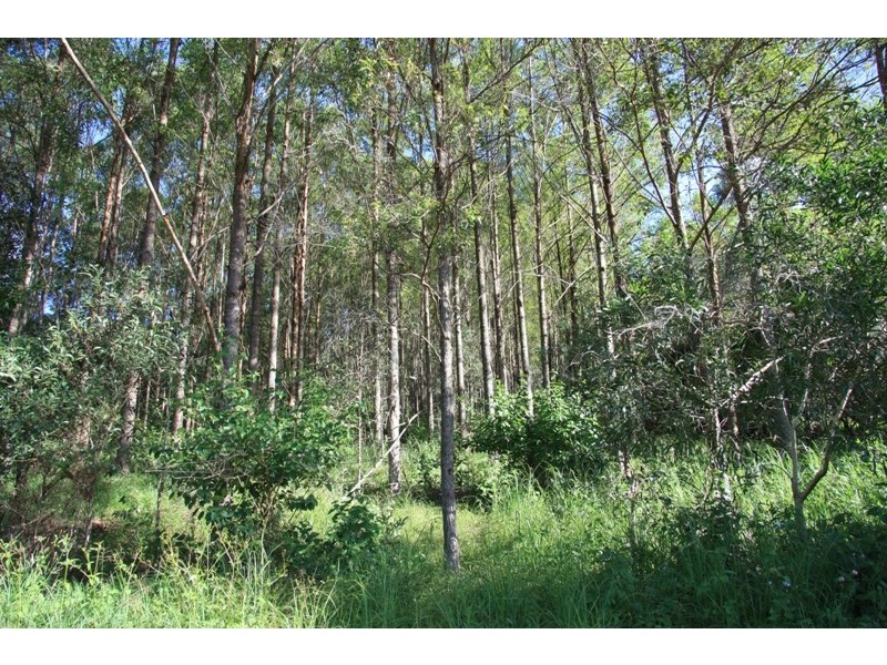 Cedar Pocket QLD 4570