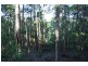 Cedar Pocket QLD 4570