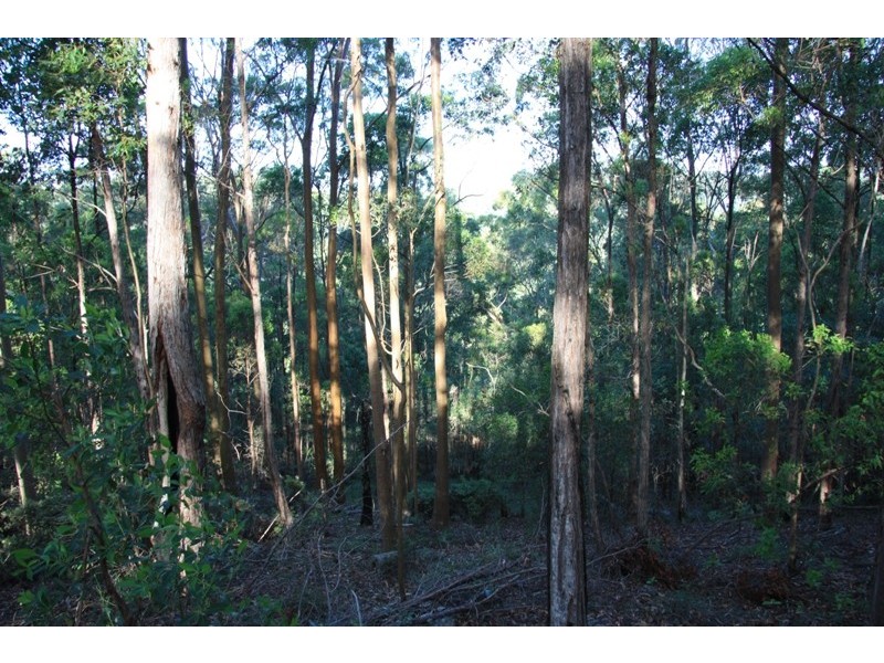 Cedar Pocket QLD 4570