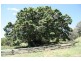 Cedar Pocket QLD 4570