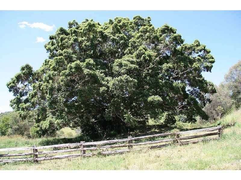 Cedar Pocket QLD 4570