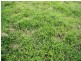 Langshaw QLD 4570