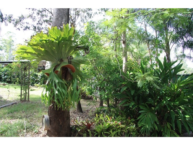 Curra QLD 4570