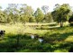 83 Fisher Road, Araluen QLD 4570