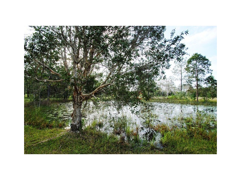 29 Stewart road, Coondoo QLD 4570
