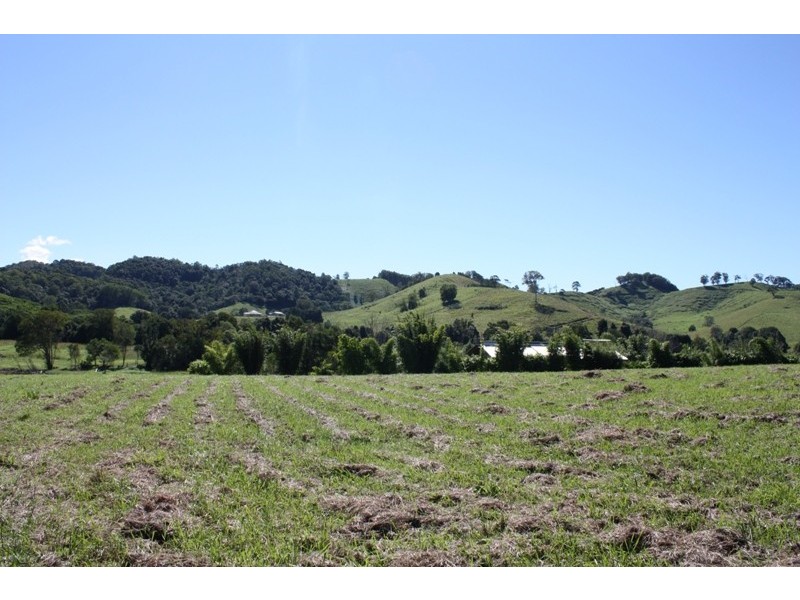 17 Watson Court, Kin Kin QLD 4571