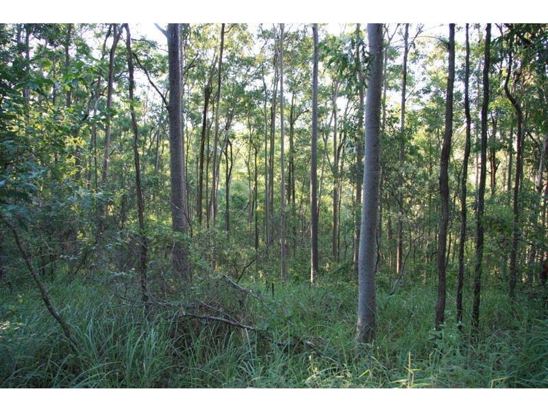 Neerdie QLD 4570