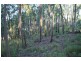 Neerdie QLD 4570