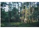 Neerdie QLD 4570