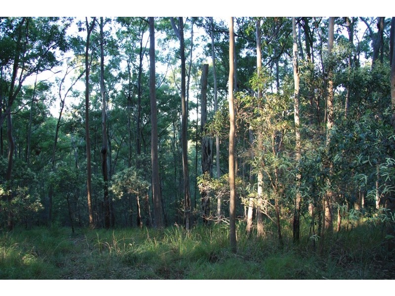 Neerdie QLD 4570