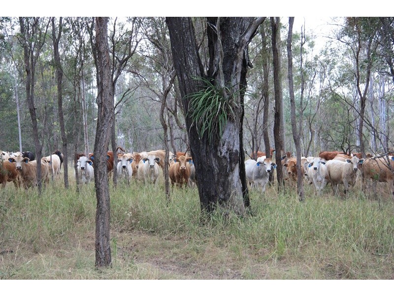 490 Sexton Road, Sexton QLD 4570