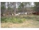 490 Sexton Road, Sexton QLD 4570