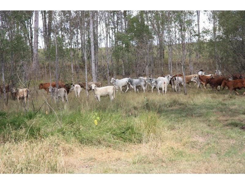 490 Sexton Road, Sexton QLD 4570