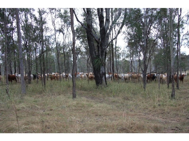 490 Sexton Road, Sexton QLD 4570