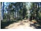 Wolvi QLD 4570