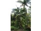 82 Francis Road, Kin Kin QLD 4571