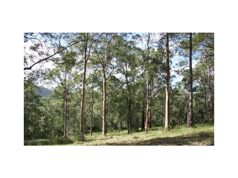 Lot 5 Shadbolt Road, Gympie QLD 4570