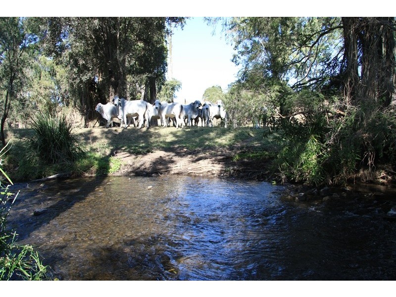 Glastonbury QLD 4570