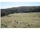 238 Greenhalgh Road, Bells Bridge QLD 4570