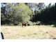 238 Greenhalgh Road, Bells Bridge QLD 4570